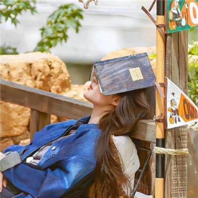 镜花不比人间月